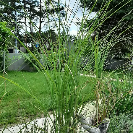 Pension Mark 3* Hoyerswerda