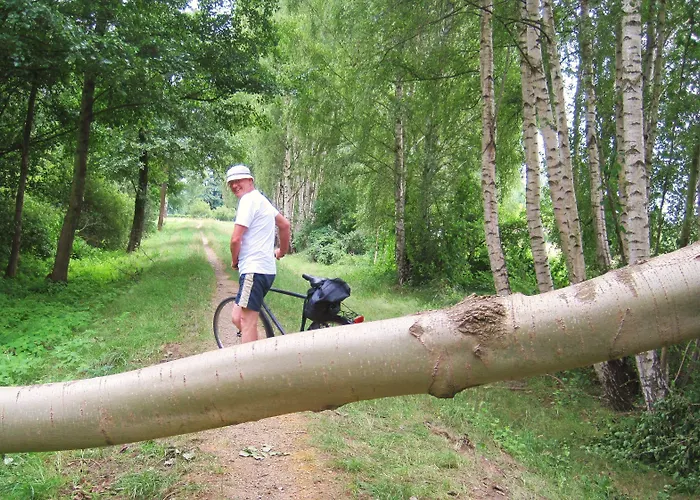 Pension Mark Hotel 3*