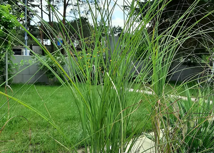 Pension Mark 3* Hoyerswerda